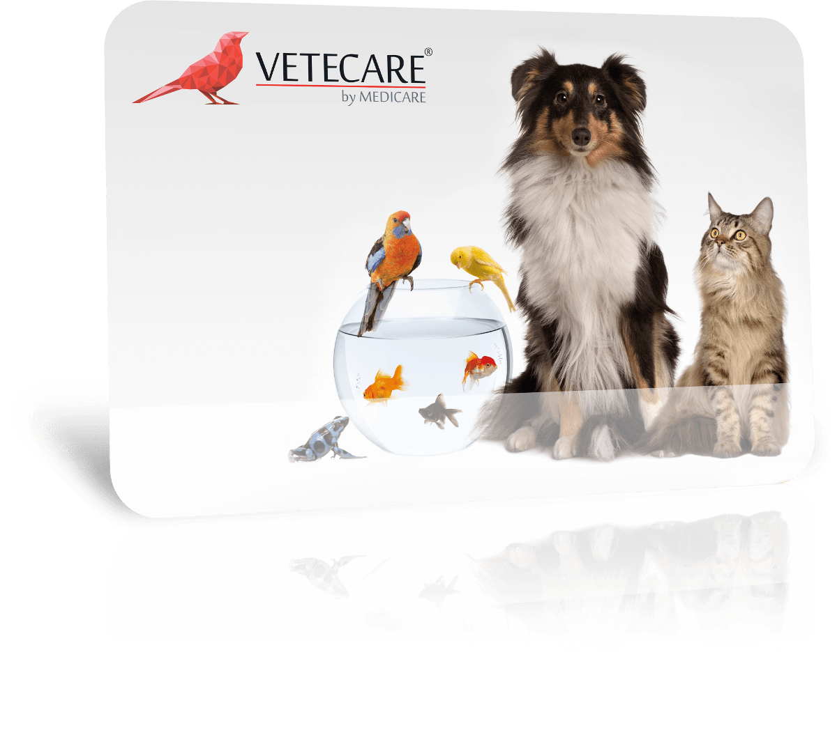 vetecare